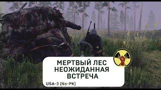 Мертвый лес, Арматурычь в соло  (lvl 20) | Will To Live Online