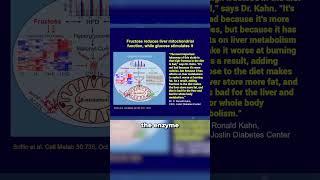 Robert Lustig: fructose inhibits three important enzymes in the liver #obesogens #doctors #doctors