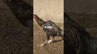 2 января 2022 г.