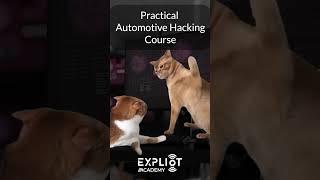 Do you want to learn IoT Hacking and become Top 1% in IoT Security? | EXPLIoT Academy