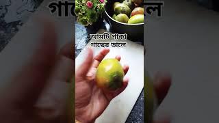 popular # mango # cutting #yummmmy #shortsfeed # viral shorts # trending shorts