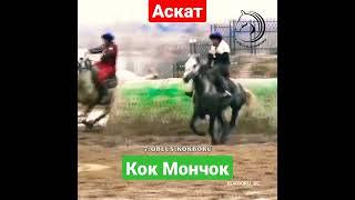 Аскат Аскаров & Кок Мончок  кок бору  Кыргызстан 