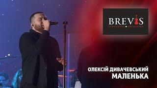 Олексій Дивачевський - Маленька | Симфонічний оркестр "BREVIS" з програмою "ПАТРІОТ"