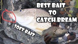 YEAR 2022 | EP13 | Best Bait to catch sea bream "Bakoko" "Soft bait"