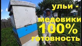 150 Семей Медовиков.  Как я Подготовился к Главному Взятку.