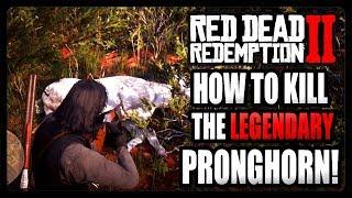 How To Kill The Legendary Pronghorn! (Red Dead Redemption 2)