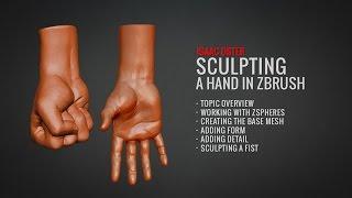 Sculpting a Hand in Zbrush (Full Tutorial at BadKing.com.au)