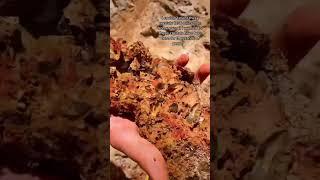 No Cap, Just Facts  Most quartz forms in either igneous rocks or environments with geothermal