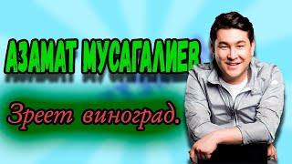 Азамат Мусагалиев - Зреет виноград. #shorts