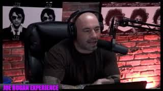 Vsauce Michael and Joe Rogan reflect after ingesting 17 tabs of LSD