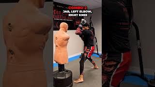 Best MMA Combos  #martialarts #mma #boxing #kickboxing