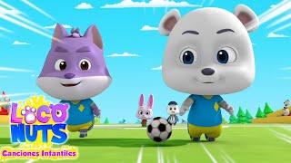 Cancion de futbol | Musica para niños | Loco Nuts en español | Dibujos animados