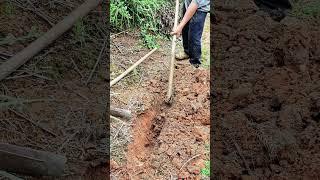 Excavation process with a pickaxe under hard soil conditions