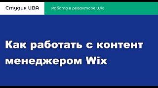 Как работать с контент менеджером Wix | Перевод