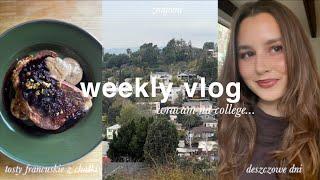 zostaję na kolejny semestr w college, domowa chałka, deszczowe dni | weekly vlog