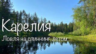 РЫБАЛКА ЛЕТОМ НА СПИННИНГ. ГЛУХАЯ РЕКА-ДОБРЫЕ ЩУКИ. Облако из комаров и мошки.