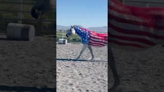 Should we do this again this year? #4thofjuly #fyp #viral #horse