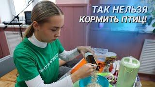 Синичкин день || Мастер-класс по изготовлению кормушек || Фестиваль «Эко-Да!»