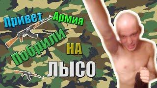 ПОБРИЛИ НА ЛЫСО!