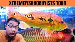 MONSTER FISH STORE TOUR | L600 Plecos Unboxing | Xtremefishhobbyists