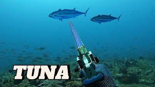 DOGTOOTH TUNA || SPEARFISHING PHILIPPINES || MEL SPEARFISHING TV !
