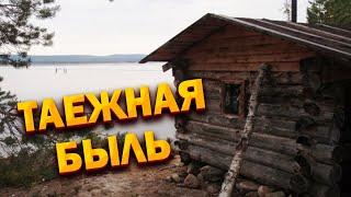 /Таежная быль / Нежданный косолапый сосед  старого охотника- промысловика/