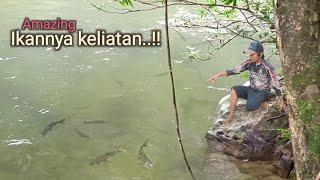 Nemu spot surga-Nya pemancing di pedalaman hutan Kalimantan