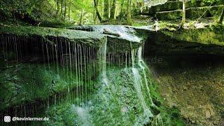 Die Hörschbachwasserfälle im Murrhardter Wald | DJI Mini 3 Pro