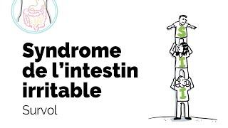 Survol du SII (syndrome de l’intestin irritable) | Société gastro-intestinale