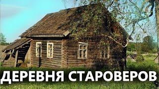 Деревня банкиров! Все оставлено. Не тронутые избы староверов. Коп поиск монет 2021