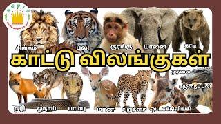 காட்டு விலங்குகள்| Kattu vilangugal- Learn Wild Animalsl | Educational Video for Kids |Tamilarasi