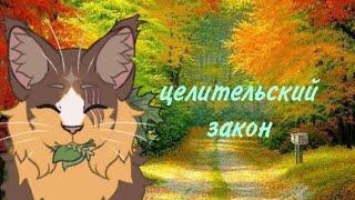 кто такие целители и каков их закон ? / чит.оп / коты воители / белолапка кв