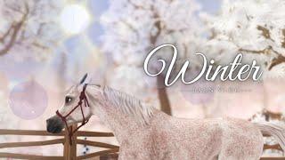 Beginning Of Winter Barn Vlog || SSO RRP