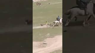 Диёр човандоз  #horse #tajikistan #rek #uzbekistan #horselover #buzkashi #kupkari #uloq