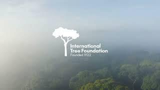 Scott Joseph Voice Artist - International Tree Foundation - Planting Trees Since 1922