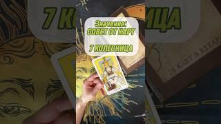 7 Колесница СОВЕТ ОТ КАРТ #тарообучение #таро #тарорасклад #значениекарты #император