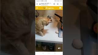 хз как назватб