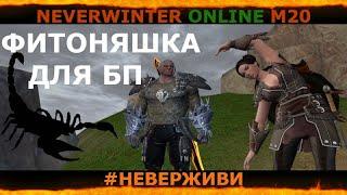 РУБАКА | дешевый спутник дня нубофарма | Neverwinter м20 #неверживи