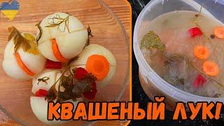 Квашеный ЛУК! Невероятно вкусная закуска из ЛУКА за КОПЕЙКИ!