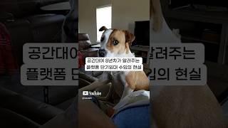8년차 공간대여 사업가가 알려주는 플랫폼 단기임대의 현실 2가지