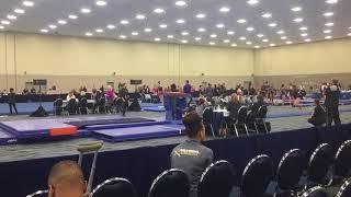 Raegan Knight - 2018 Vault Cal Grand Vault - 9.075