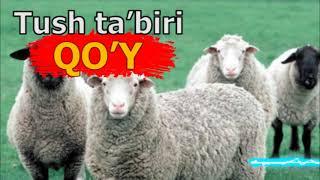 TUSHDA QO’Y KO’RISH - Тушда куй куриш - Tushda qo'y ko'rsa