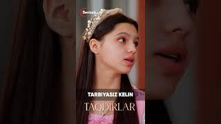 TAQDIRLAR - TARBIYASIZ KELIN