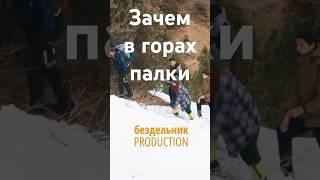 Зачем в горах нужны треккинговые палочки