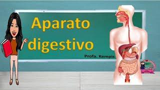 Aparato Digestivo