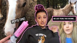 Did This Equestrian Kill Her Foal?  | Raleigh Link