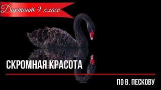 Диктант по русскому языку с проверкой! 9 класс.  Скромная красота #диктант9класс​ #диктант