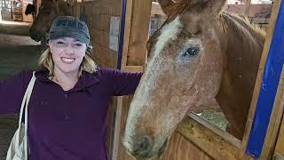 THIS IS CRUCIAL FOR OUR HORSES