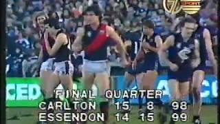 1981 Essendon v Carlton - Round 20