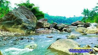 1 Hour Relaxing Forest Sounds Flowing water Over Rock That Makes You Fall Asleep In 10 Minutes.